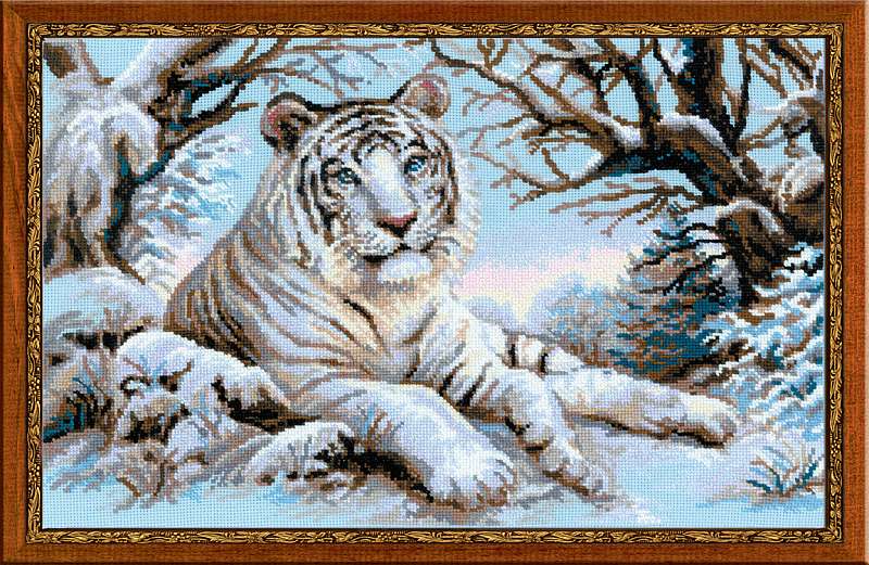 1184 Бенгальский тигр