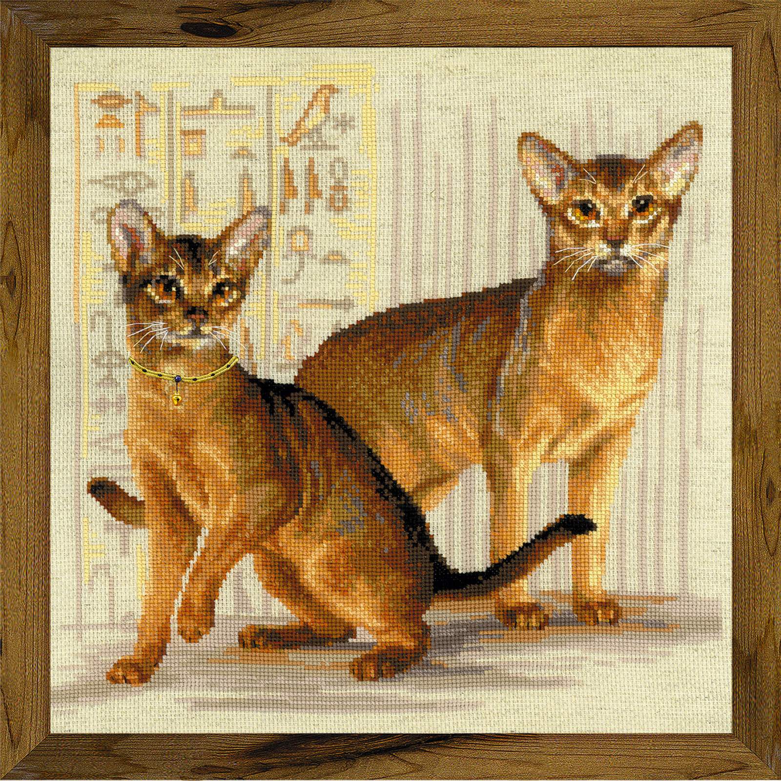 1671 Абиссинские кошки