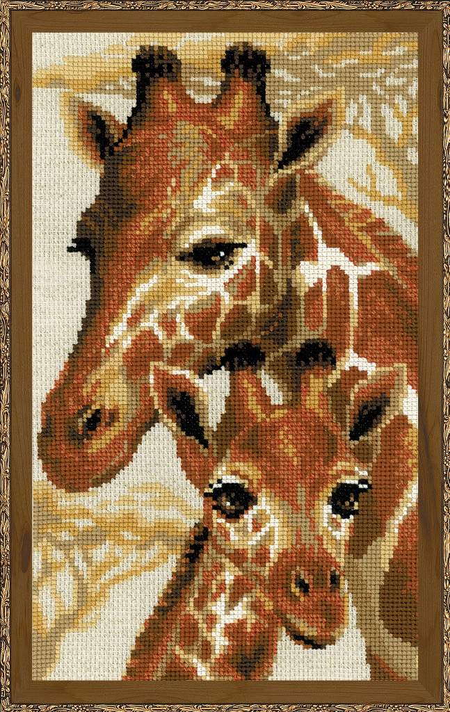 1697 Жирафы